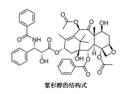 荧光素(FITC)化学修饰紫杉醇