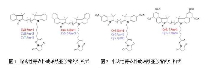 Cy3,Cy5和Cy7菁染料的激发波长光谱图