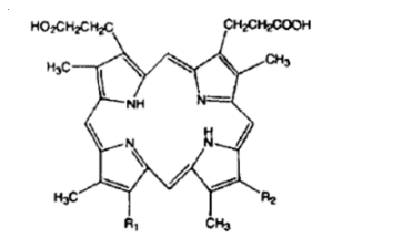 卟啉