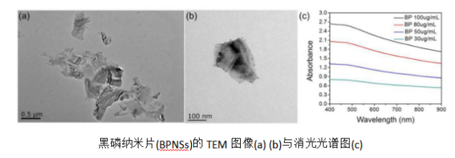 黑磷纳米片(BP NSs)