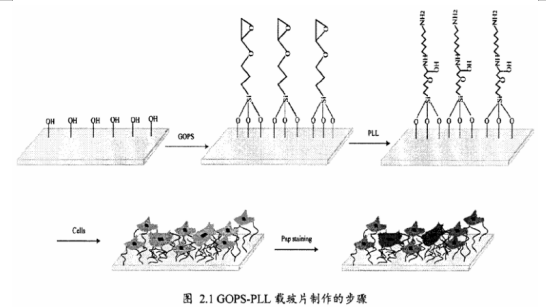 QQ截图20211124123725.png