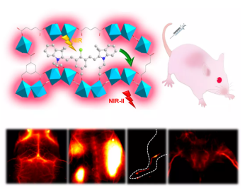 花菁染料掺杂（Ln-MOFs）Ln-BTC的红外二区（NIR-II）MOFs荧光材料