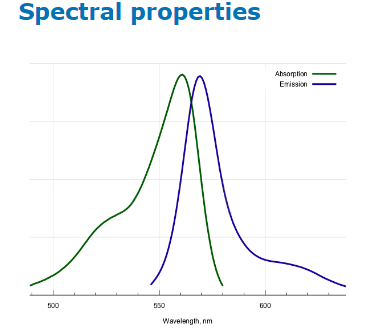 BDP 558/568 NHS ester，CAS：150173-73-2.png