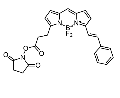 BDP 564/570 NHS ester，cas150173-90-3.png