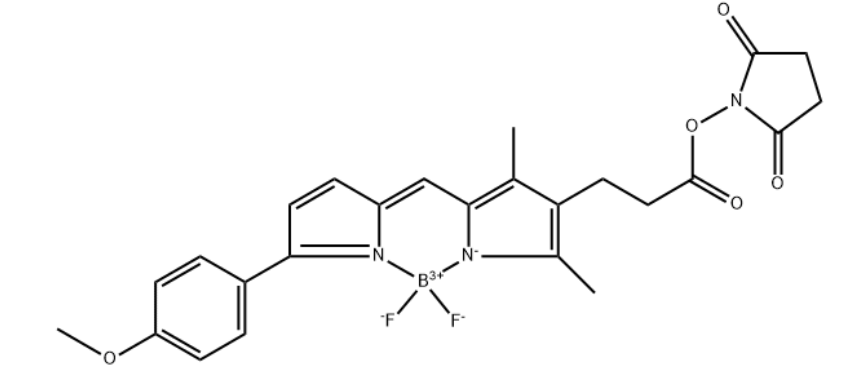 3-氟硼吡咯-TMR-NHS.png