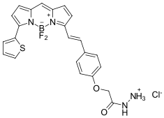 BDP 630/650 hydrazide，cas2183473-43-8.png