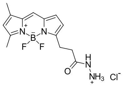 BDP FL hydrazide,cas2183473-45-0.png