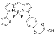 BDP TR carboxylic acid,cas150152-64-0.png