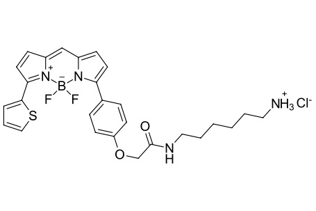 BDP TR amine,cas2183473-18-7.png