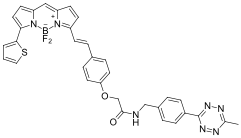 BDP 630/650 tetrazine.png