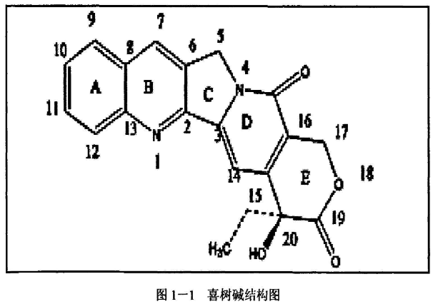 喜树碱.png