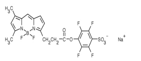 BODIPY FL, STP Ester, Sodium Salt.png