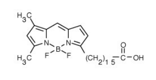 BODIPY FL C16（4,4-二氟-5,7-二甲基-4-硼杂-3a,4a-二氮杂-s-引达省-3-棕榈酸）.png