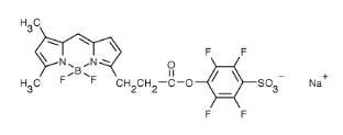 BODIPY FL, STP Ester, Sodium Salt.png