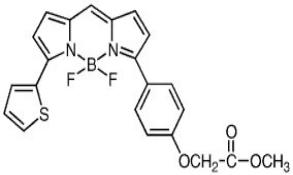 CellTrace BODIPY TR Methyl Ester (Lipophilic Counterstain For GFP).png