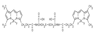 BODIPY FL L-胱氨酸.png