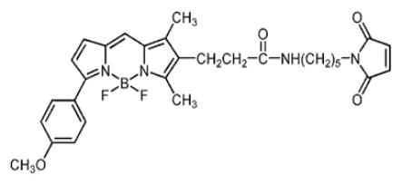 BODIPY TMR C5-马来酰亚胺.png