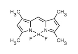 BODIPY 505/515.png