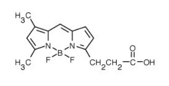 BODIPY FL（4,4-二氟-5,7-二甲基-4-硼杂-3a,4a-二氮杂-s-引达省-3-丙酸）.png