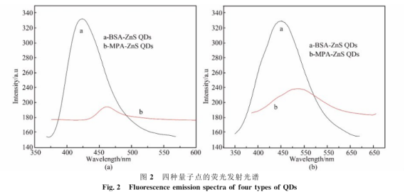 BSA-Ag2SQDs。Lyz-AgzSQDs、BSA-ZnSQDs、MPA-ZnSQDs