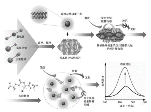 锌掺杂黑磷量子点(Zn-BPQDs).png