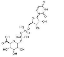 UDP-6-N3-Glu.png