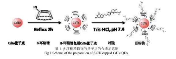 环糊精修饰碲化镉CdTe量子点.png