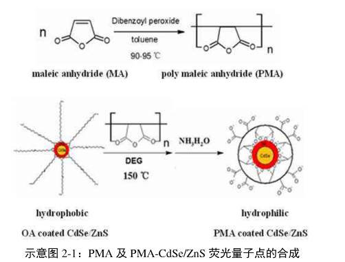 PMA-CdSe/ZnS QDs.png