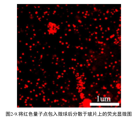 聚苯乙烯修饰CdSe/ZnS荧光量子点.png