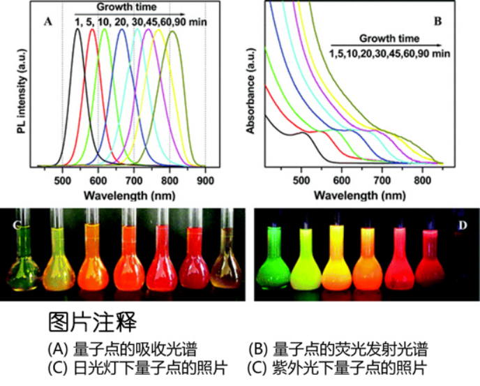 水溶性CdTe/CdS 量子点.png