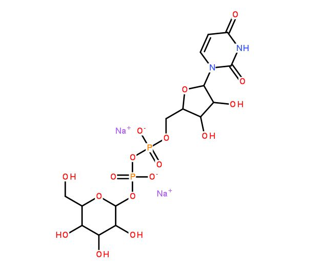 UDP-葡萄糖.png