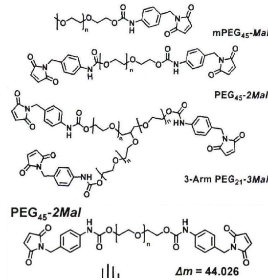 mPEG45-2Mal.png