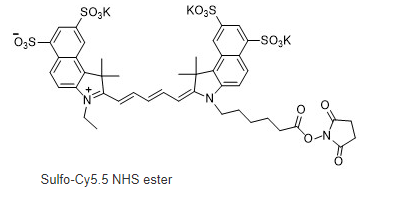 Sulfo Cy5.5-NHS ester.png