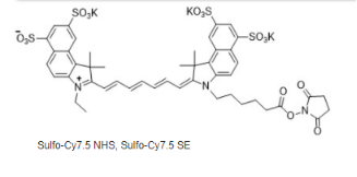 Sulfo-Cy7.5 NHS ester.png