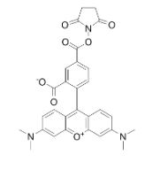 5-TAMRA-SE|cas号150810-68-7|5-羧基四甲基罗丹明琥珀酰亚胺酯.png