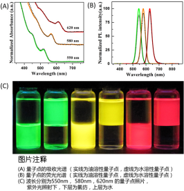 水溶性硒化镉修饰硫化锌CdSe/ZnS量子点.png