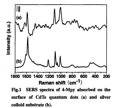 巯基吡啶功能化CdTe量子点.png