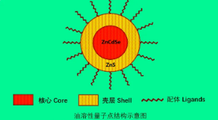 油溶性硒化镉量子点.png