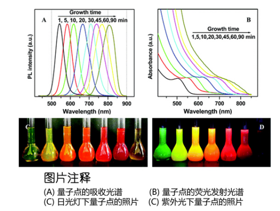 水溶性CdTe/CdS量子点