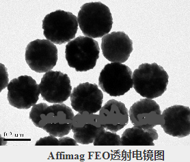 四氧化三铁磁性纳米微球