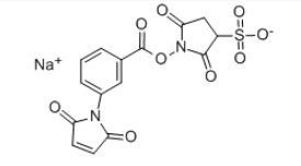 m-马来酰亚胺苯甲酸琥珀酰亚胺酯 钠盐CAS:92921-25-0 