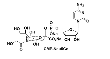 CMP-C9-Azido-Sialic Acid，5'-单磷酸胞苷修饰叠氮糖