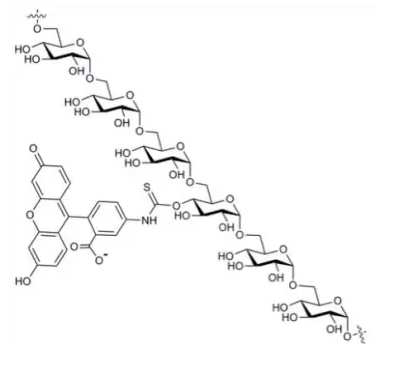 fitc-果糖