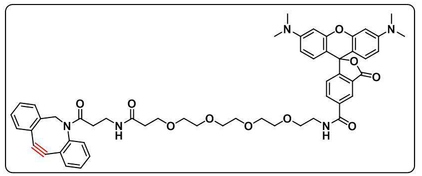 CAS号:1895849-41-8;DBCO-PEG4-TAMRA;四甲基罗丹明-四聚乙二醇-二苯并环辛炔