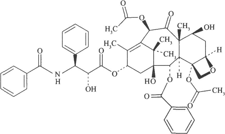 CAS:33069-62-4,紫杉醇