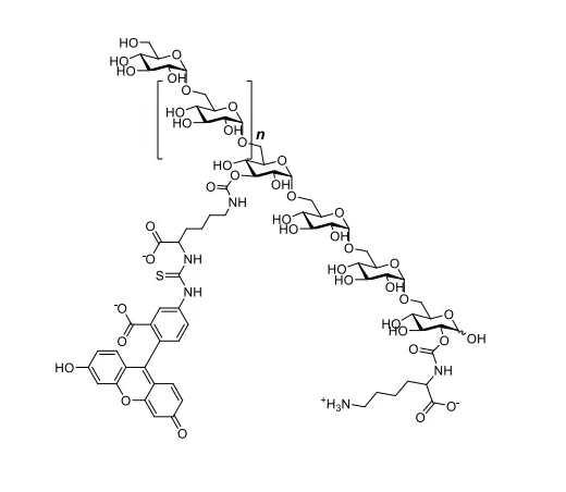 FITC-Dextran 