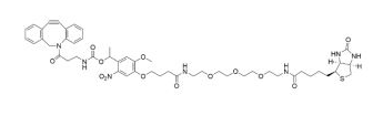 WS PC DBCO-Biotin