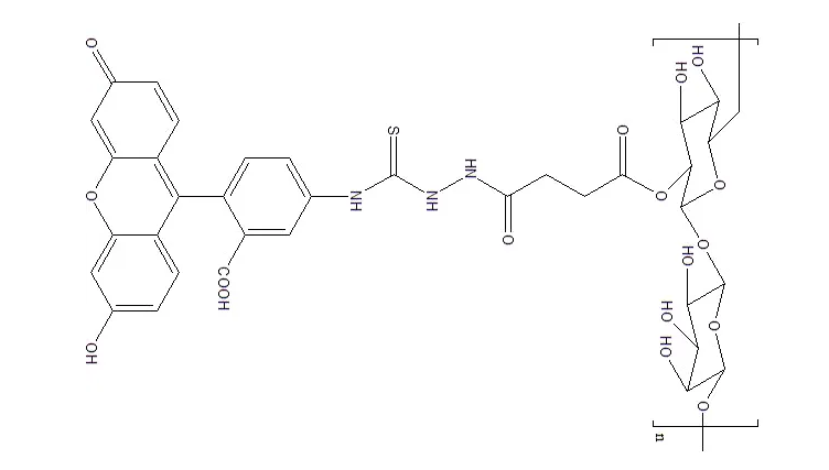 Dextran-FITC