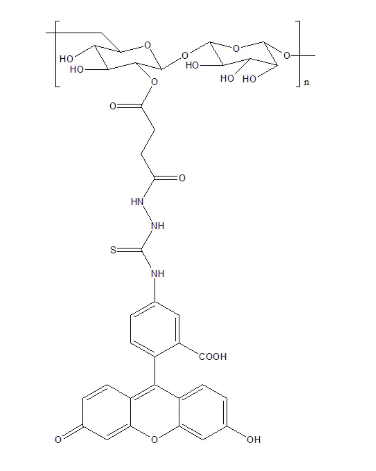 FITC-dextran