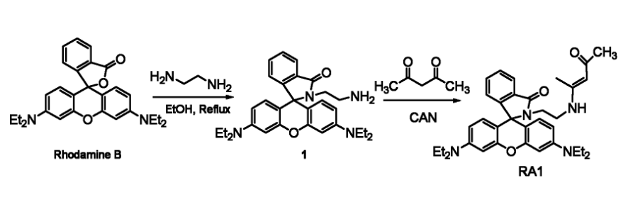 rhodamine B